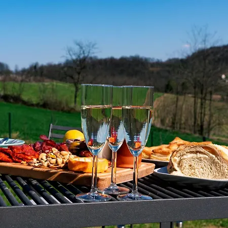 Holiday home Sauna Retreat Zabari, Valjevo